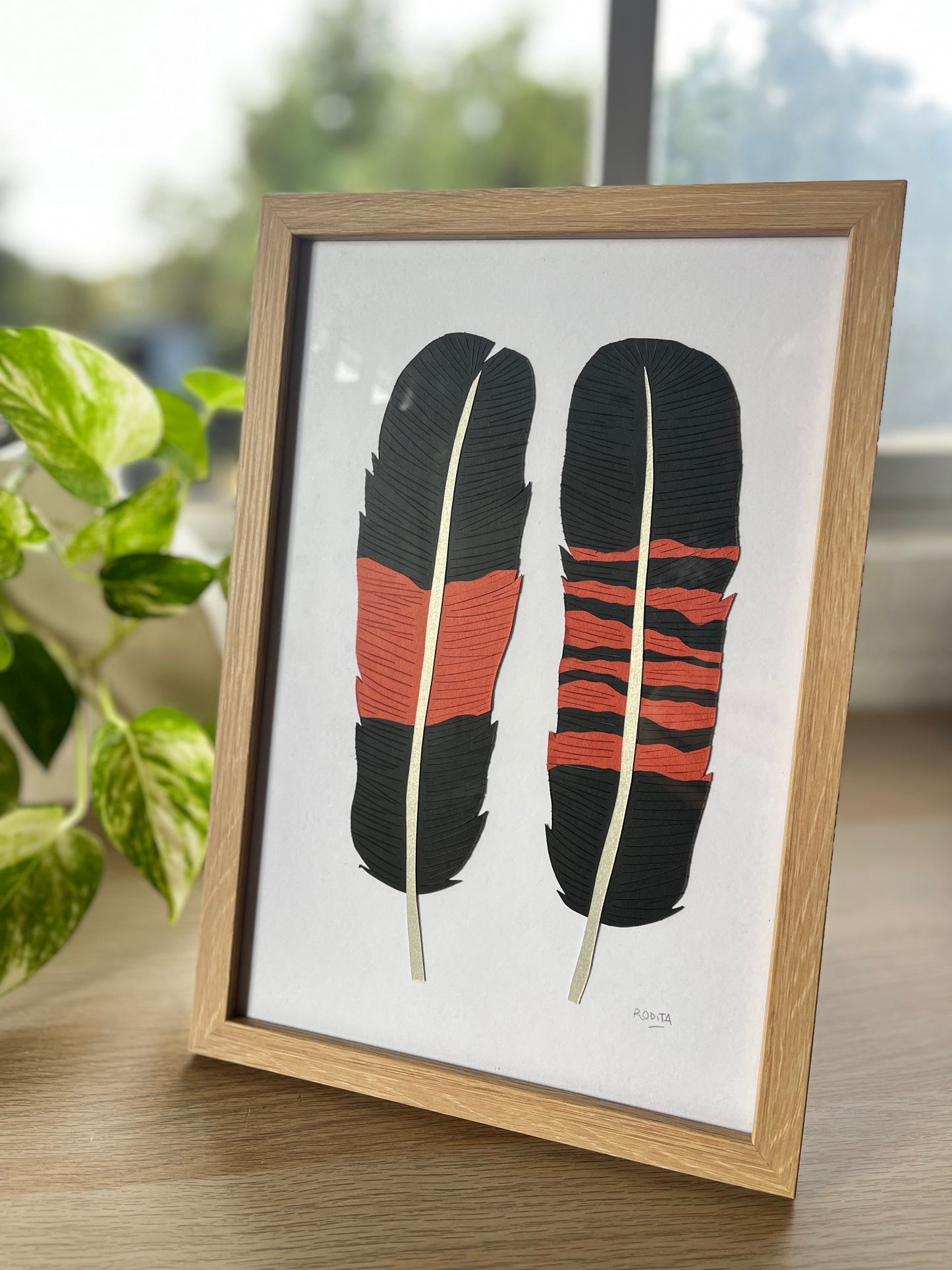 Red Tailed Black Cockatoo Paper Feathers