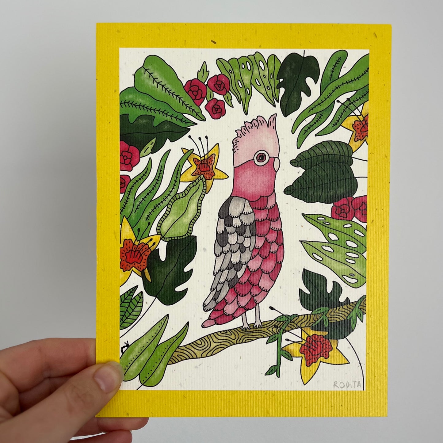 Galah A5 Print