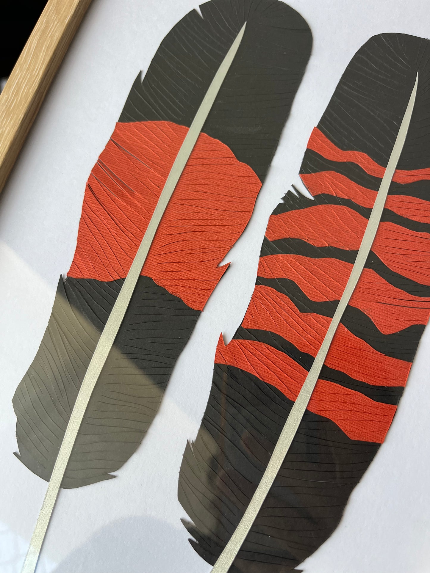 Red Tailed Black Cockatoo Paper Feathers