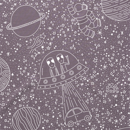 Car Abduction Women's T-shirt